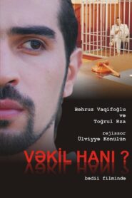 Where Is The Lawyer? 2011 on netflix