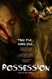 Possession 2012 on netflix