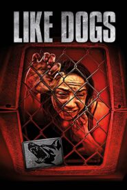 Like Dogs 2021 on netflix