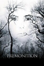 Premonition 2007 on netflix