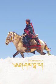 Shambhala 2024 on netflix