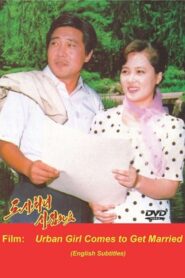 Urban Girl Comes to Get Married 1993 on netflix