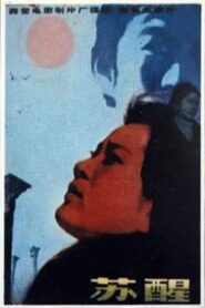 Awakening 1981 on netflix