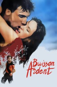 Buisson ardent 1987 on netflix