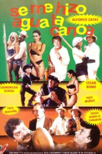 Se me hizo agua la canoa 1994 on netflix