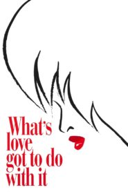 What’s Love Got to Do with It 1993 on netflix