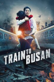 Train to Busan 2016 on netflix