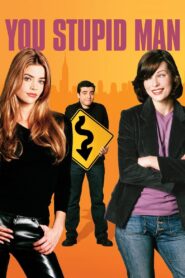 You Stupid Man 2002 on netflix