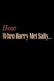 How Harry Met Sally… 2001 on netflix