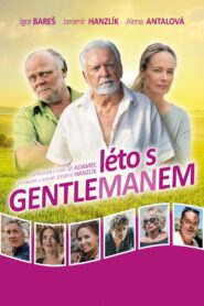 Summer with the gentleman 2019 on netflix
