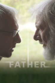 The Father 2020 on netflix