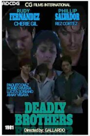Deadly Brothers 1994 on netflix