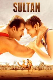 Sultan 2016 on netflix