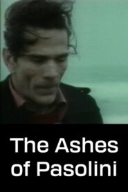 The Ashes of Pasolini 1994 on netflix
