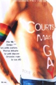 Courts mais Gay : Tome 6 2003 on netflix