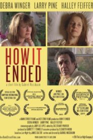 How It Ended 2011 on netflix