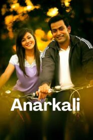 Anarkali 2015 on netflix