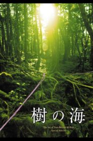 Jyukai: The Sea of Trees Behind Mt. Fuji 2005 on netflix