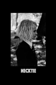 Necktie 2013 on netflix
