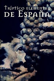 Tríptico elemental de España 1996 on netflix