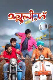 Mallu Singh 2012 on netflix