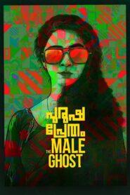 Purusha Pretham 2023 on netflix