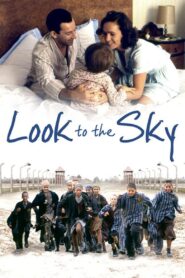 Look to the Sky 1993 on netflix