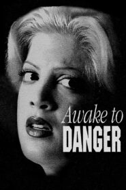 Awake to Danger 1995 on netflix