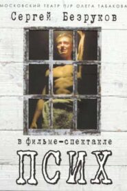 Псих 2005 on netflix