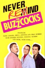 Never Rewind the Buzzcocks 1998 on netflix