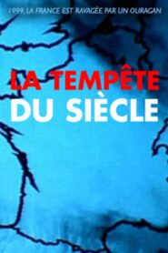 La Tempête du siècle 2004 on netflix