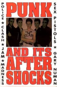 Punk and Its Aftershocks 1980 on netflix