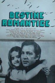 Romantic Destinies 1981 on netflix