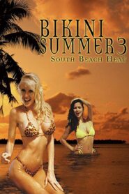 Bikini Summer III: South Beach Heat 1997 on netflix