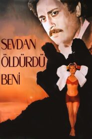 Sevdan Öldürdü Beni 1986 on netflix