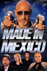 Made in Mexico 2022 on netflix