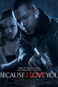 Because I Love You 2012 on netflix