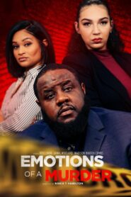 Emotions of a Murder 2024 on netflix