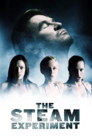 The Steam Experiment 2009 on netflix