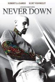 Never Down 2007 on netflix