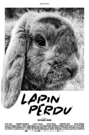 Lost Rabbit 2019 on netflix
