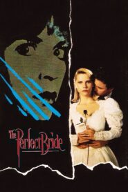 The Perfect Bride 1991 on netflix
