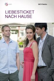 Liebesticket nach Hause 2008 on netflix