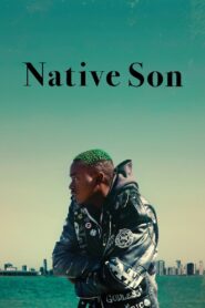Native Son 2019 on netflix