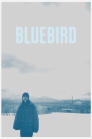 Bluebird 2014 on netflix
