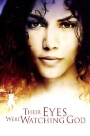 Their Eyes Were Watching God 2005 on netflix