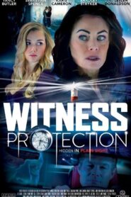 Witness Protection 2017 on netflix