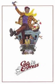 Café Express 1980 on netflix