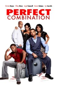 Perfect Combination 2010 on netflix