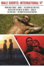 Male Shorts: International V7 2024 on netflix